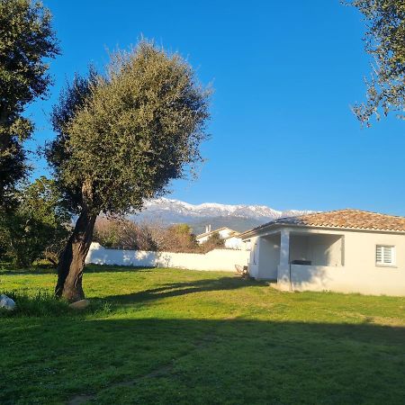 Location "Casa Monna" Apartman Prunelli-di-Fiumorbo Kültér fotó