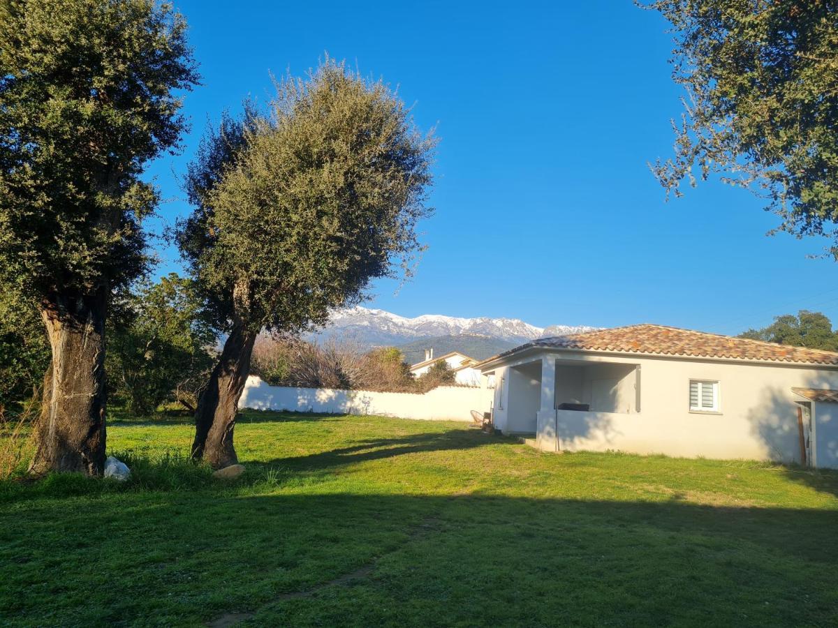Location "Casa Monna" Apartman Prunelli-di-Fiumorbo Kültér fotó